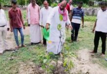 कागजों में पौधरोपण कर कीर्तिमान स्थापित कर रही भाजपा सरकार : मनोज सिंह डब्लू