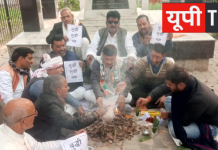 धर्मगुरु शंकराचार्य के अपमान से उबाल, कांग्रेस ने किया शुद्धि-बुद्धि यज्ञ