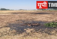 अज्ञात कारणों से लगी आग, आठ बीघा गेहूं की फसल जलकर राख, किसान परिवार पर टूटा संकट