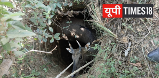 कुएं में गिरी नीलगाय को ग्रामीणों ने बचाया, घंटों चली मशक्कत