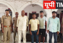 गोवंश तस्करी पर चंदौली पुलिस का बड़ा प्रहार, तीन मैजिक वाहनों से छह गोवंश बरामद, चार गिरफ्तार
