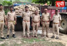 वन विभाग की संयुक्त गश्त में बड़ी सफलता, अवैध पत्थर-ईंट लदा ट्रैक्टर पकड़ा, चालक फरार, जांच शुरू