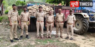वन विभाग की संयुक्त गश्त में बड़ी सफलता, अवैध पत्थर-ईंट लदा ट्रैक्टर पकड़ा, चालक फरार, जांच शुरू