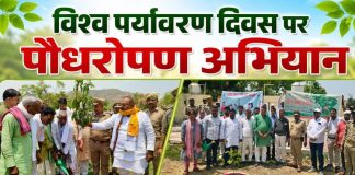 विश्व पर्यावरण दिवस पर चंदौली में पौधरोपण अभियान, पर्यावरण संरक्षण का दिलाया गया संकल्प
