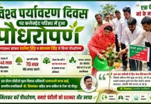 विश्व पर्यावरण दिवस पर कलेक्ट्रेट परिसर में हुआ पौधरोपण, जनपद में लगाए जाएंगे 70 लाख पौधे