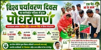 विश्व पर्यावरण दिवस पर कलेक्ट्रेट परिसर में हुआ पौधरोपण, जनपद में लगाए जाएंगे 70 लाख पौधे