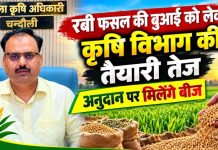 रबी फसल की बुआई को लेकर कृषि विभाग की तैयारी तेज, अनुदान पर मिलेंगे बीज