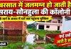 बरसात में जलमग्न हो जाती है सराय-सोनहुला की कॉलोनी, संपर्क मार्ग के अभाव में घरों तक पहुंचना मुश्किल
