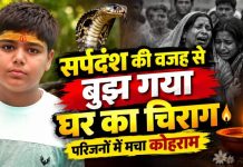 विषैले सर्प के डंसने से 13 वर्षीय बालक की मौत, परिवार में मचा कोहराम