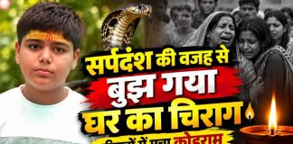 विषैले सर्प के डंसने से 13 वर्षीय बालक की मौत, परिवार में मचा कोहराम