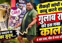 सैकड़ों सांपों को पकड़ने वाले गुलाब राम को डस गया काल! चार बार डसा, मौत से मचा कोहराम