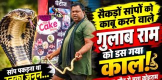 सैकड़ों सांपों को पकड़ने वाले गुलाब राम को डस गया काल! चार बार डसा, मौत से मचा कोहराम